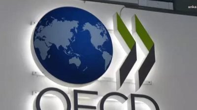 Ekonomik Kalkınma ve İşbirliği Örgütü (OECD), Türkiye ekonomisi için 2024