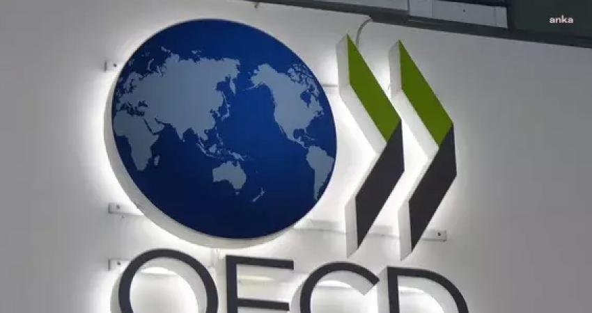 Ekonomik Kalkınma ve İşbirliği Örgütü (OECD), Türkiye ekonomisi için 2024