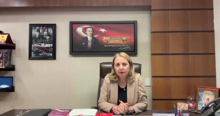 CHP Ankara Milletvekili Semra Dinçer, 0-6 yaş aralığındaki tüm çocukların
