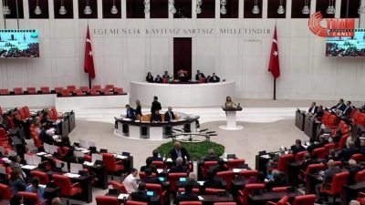 TBMM Genel Kurulu’nda DEM Parti'nin Kobani Davası'nın siyasi boyutunun araştırılması