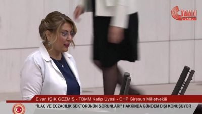  TBMM Genel Kurulu’nda oturumu yöneten TBMM Başkanvekili Sırrı Süreyya Önder