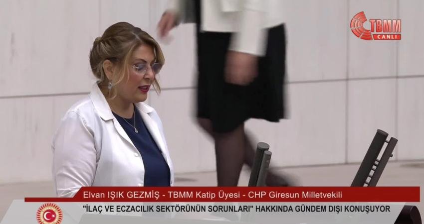  TBMM Genel Kurulu’nda oturumu yöneten TBMM Başkanvekili Sırrı Süreyya Önder