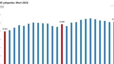 Türkiye İstatistik Kurumu (TÜİK), "Ücretli Çalışan İstatistikleri Mart -2024" bültenine