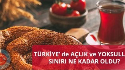 Türkiye İşçi Sendikaları Konfederasyonu’nun (TÜRK-İŞ) mayıs ayı araştırmasına göre, dört