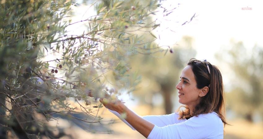 Zeytinyağı Doğru Ellerde Sağlık İksirine Dönüşüyor Türkiye’nin tek uluslararası zeytinyağı yarışması olarak kabul edilen Anatolian IOOC’de