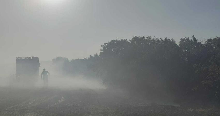 İBB Afet İşleri Dairesi Başkanlığı AKOM, sıcak ve rüzgarlı hava şartları