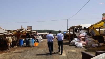 Ataşehir Belediyesi Zabıta Müdürlüğü tarafından görevlendirilen 80 kişilik kadro, beş