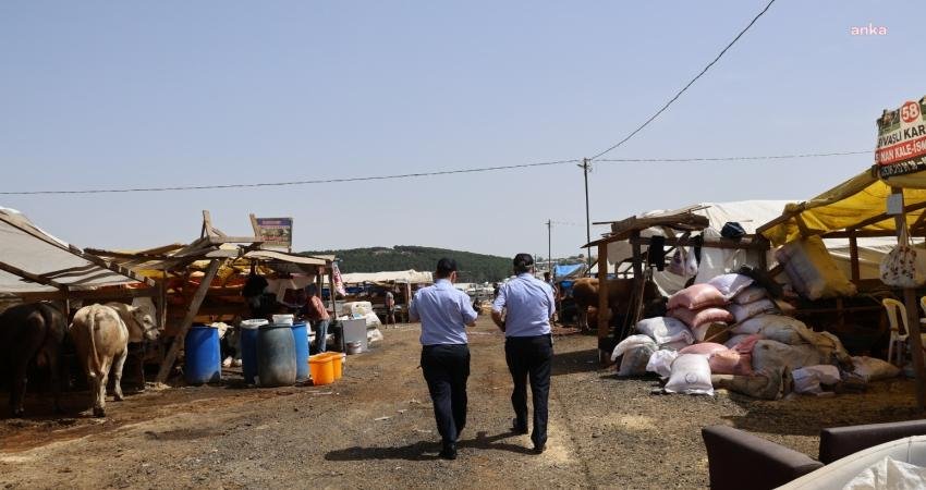 Ataşehir Belediyesi Zabıta Müdürlüğü tarafından görevlendirilen 80 kişilik kadro, beş