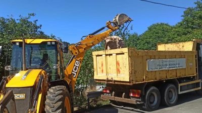 Beykoz Belediyesi ve İlçe Tarım ve Orman Müdürlüğü veteriner hekimleri,