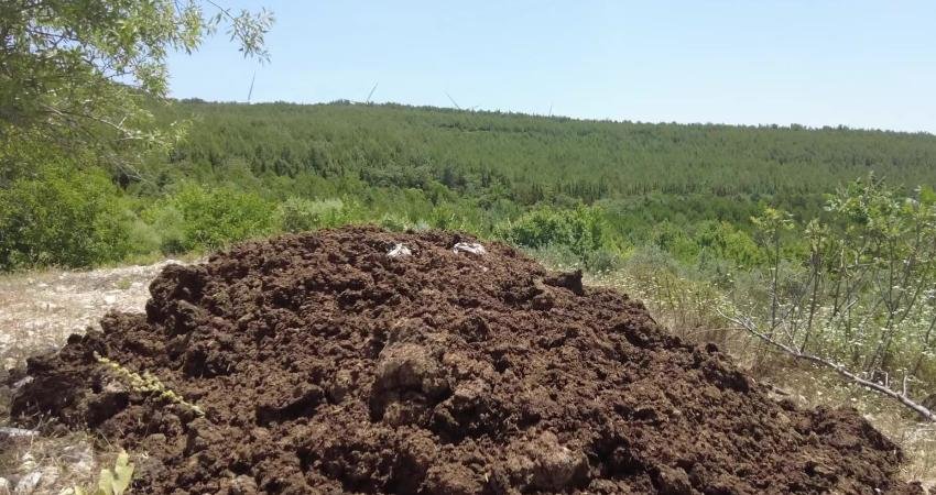 Bornova Belediyesi, hayvancılığın yoğun olarak yapıldığı Eğridere Mahallesi’nde çiftçilerin talepleri