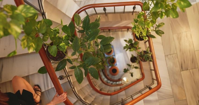 Kullanıcılarına kaliteli içerik sunmayı amaçlayan medya içeriği ağı KiVVON, iki