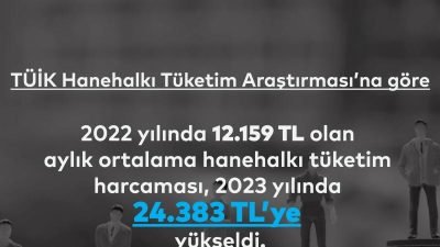 İstanbul Planlama Ajansı'nın (İPA) TÜİK verilerine dayandırdığı araştırmaya göre, 2022