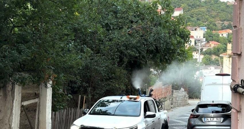 Beykoz’da sivrisinekle mücadele çalışmaları İstanbul Büyükşehir Belediyesi (İBB) ekiplerinin takviyesiyle