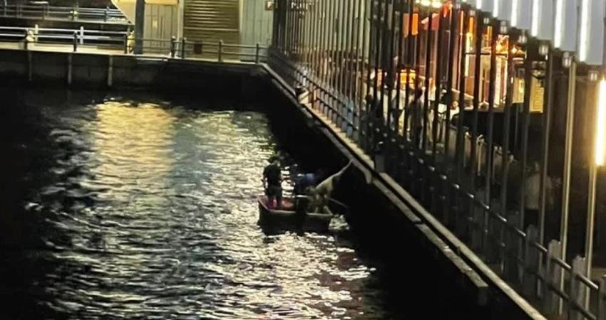 İstanbul Eminönü'de yasadışı midye avcılığı yapan 2 kişi gözaltına aldı.