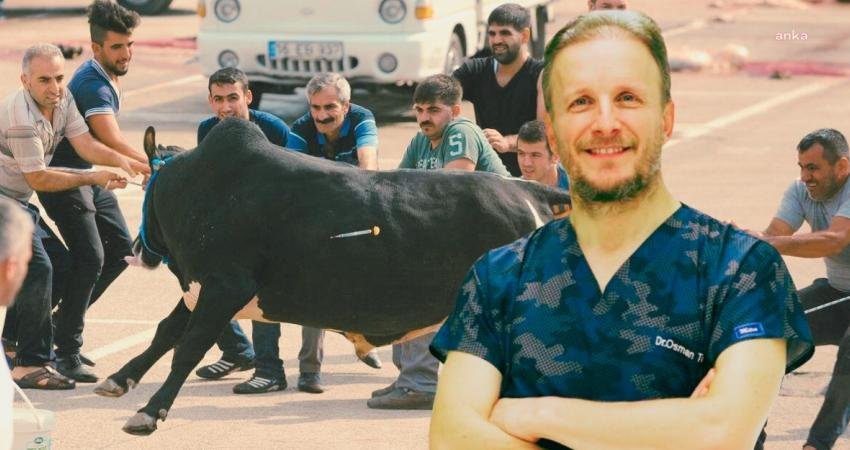 Kurban keserken yaralanmalara dikkat… Prof. Dr. Tecimel: “Bu işi profesyonellere bırakmak en önemli tedbir” Her yıl Kurban Bayramı’nda deneyimli yada deneyimsiz birçok kişinin kurban
