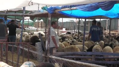 Kurban bayramına sayılı günler kala kurban pazarlarında durgunluk sürerken; İzmir’de