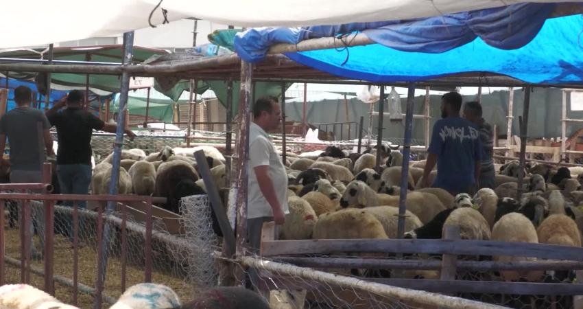 Kurban bayramına sayılı günler kala kurban pazarlarında durgunluk sürerken; İzmir’de