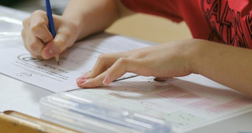 Fen ve sosyal bilimler liseleri, proje okulları ile mesleki ve