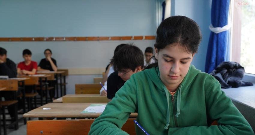 Fen ve sosyal bilimler liseleri, proje okulları ile mesleki ve