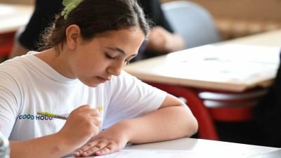 Fen ve sosyal bilimler liseleri, proje okulları ile mesleki ve