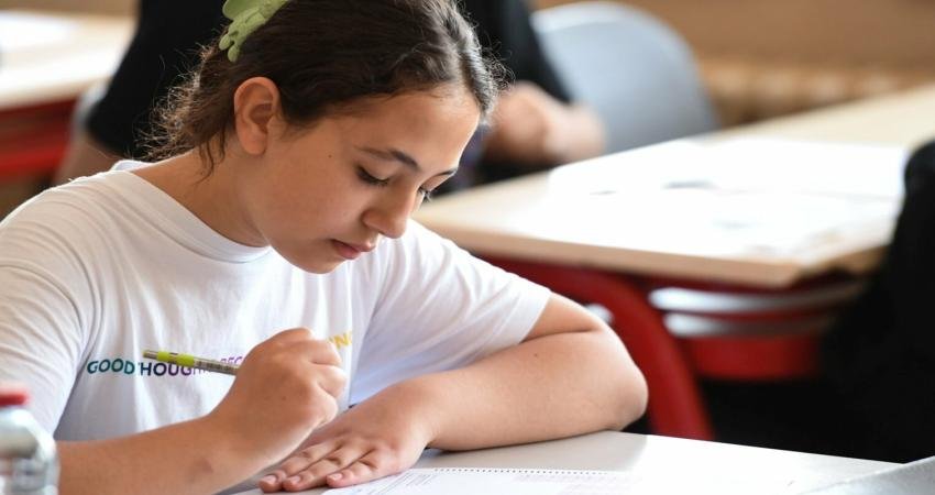 Fen ve sosyal bilimler liseleri, proje okulları ile mesleki ve