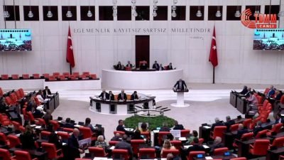 TBMM Genel Kurulu'nda DEM Parti'nin Çınar- Mazdağı yangınına ilişkin meydana
