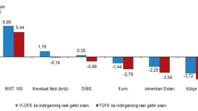 Türkiye İstatistik Kurumu (TÜİK) Finansal Yatırım Araçlarının Reel Getiri Oranlarını