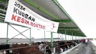 Türk Kızılay, gelenekselleşen vekâletle kurban kesim kampanyası kapsamında hedeflediği 128