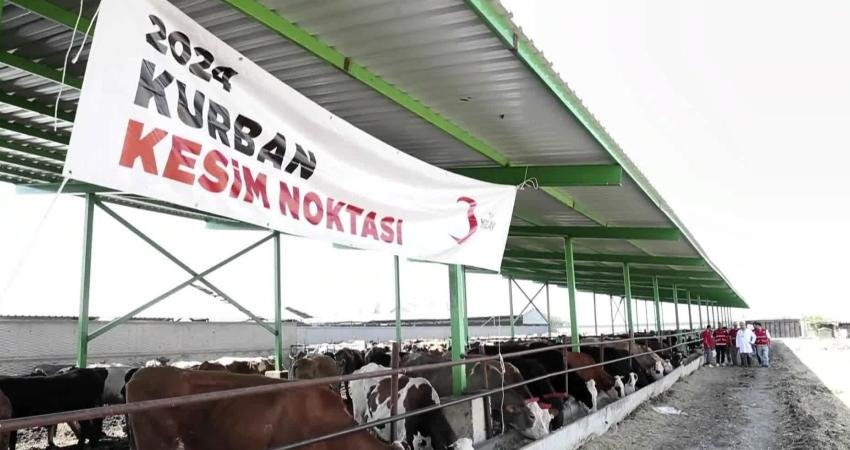 Türk Kızılay, 146 bin 683 hisse kurban kesimiyle Türkiye dahil 21 ülkede 4,2 milyon ihtiyaç sahibine ulaşacak Türk Kızılay, gelenekselleşen vekâletle kurban kesim kampanyası kapsamında hedeflediği 128