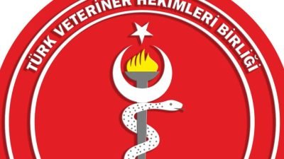Türk Veteriner Hekimler Birliği (TVHB), kurban kesiminin hijyenik ortamlarda yapılması