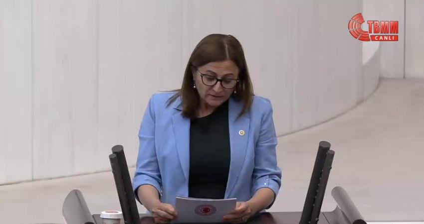 Tahir Elçi’nin eşi CHP İstanbul Milletvekili Türkan Elçi, TBMM’de yaptığı