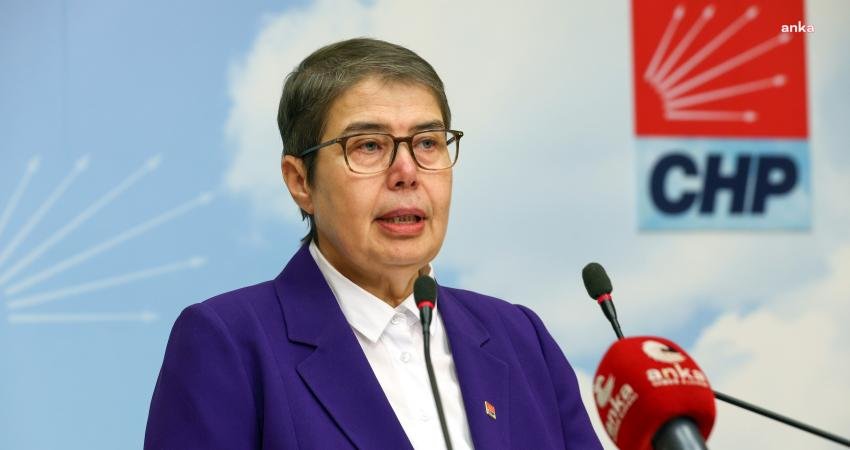 CHP Genel Başkan Yardımcısı Zeliha Aksaz Şahbaz, “TÜİK verileri hekim,