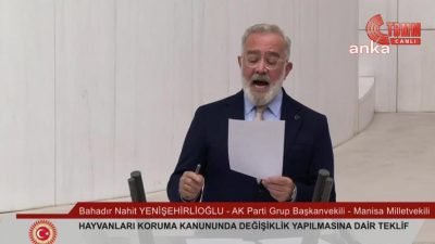 TBMM Genel Kurulu'nda sokak hayvanları kanununda değişiklik öngören ‘Hayvanları Koruma Kanunu’nda
