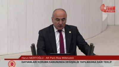 TBMM Genel Kurulu'nda sokak hayvanları ile ilgili yasa tasarısı görüşmelerinde