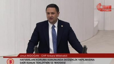 CHP Ankara Milletvekili Umut Akdoğan, "Köpek sevmezsiniz, kedi sevmezsiniz, börtü