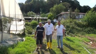 İstanbul Beykoz’da çiftçiye verilen fide ve alım desteğiyle bereketli bir