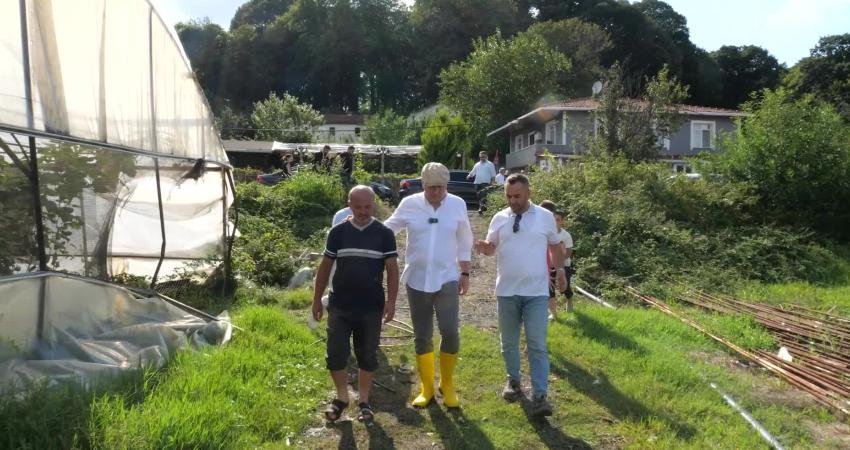 İstanbul Beykoz’da çiftçiye verilen fide ve alım desteğiyle bereketli bir