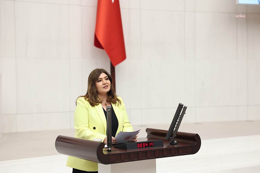 tbmm-genel-kurulu-iyi-partili-tasci-hamsioglu-ayciceginde-uretimi-artirmak-ciftciyi-tesvik-etmek-zorundayiz