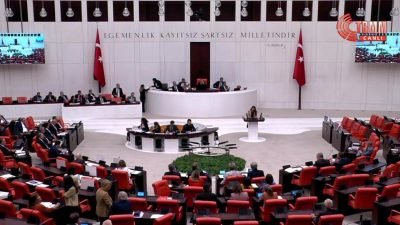 CHP Genel Başkan Yardımcısı Gökçe Gökçen, TBMM Genel Kurulu'nda Öğretmenlik