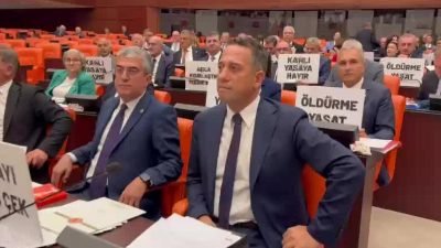 TBMM Genel Kurulu'nda, sokak hayvanlarına ilişkin düzenlemeler içeren kanun teklifinin