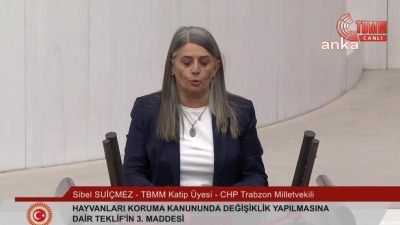 TBMM Genel Kurulu'nda, sokak hayvanlarına ilişkin yasa tasarısıyla ilgili konuşan