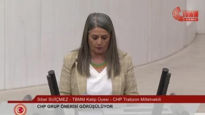 CHP'nin TBMM Genel Kurulu'nda 'hayvan haklarının korunmasında ortaya çıkan sorunların