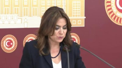 DEM Parti Grup Başkanvekili Gülüstan Kılıç Koçyiğit, kök maaşı 10