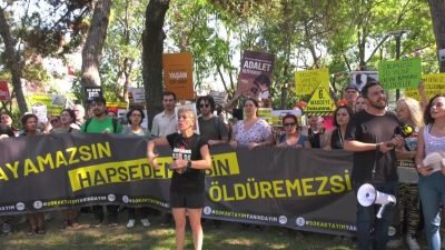 Hayvan hakları savunucuları, Hayvanları Koruma Kanunu’nda Değişiklik Yapılmasına Dair Kanun