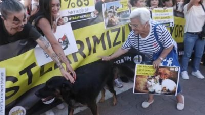 Yaşam hakları savunucuları TBMM Tarım Orman ve Köy İşleri Komisyonu’nda