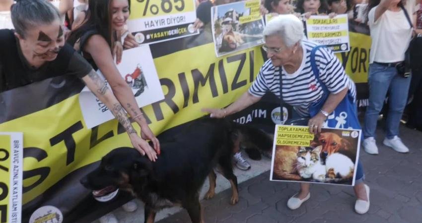 Yaşam hakları savunucuları TBMM Tarım Orman ve Köy İşleri Komisyonu’nda