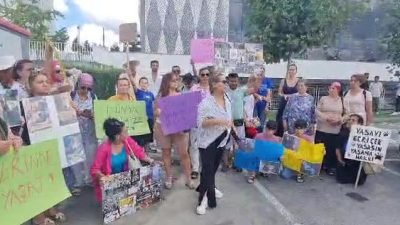 İstanbul’da hayvanseverler, kısır ve aşılı bir sokak köpeğinin toplanmasını Arnavutköy