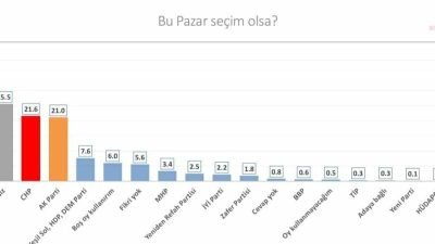 İdeaPolitik Siyasi Araştırma ve Düşünce Enstitüsü (İdeaPolitik Enstitü), vatandaşların genel