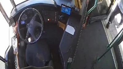 İstanbul Ataşehir'de alçak uçuş yapan martı, İETT’nin 11 ST Üsküdar