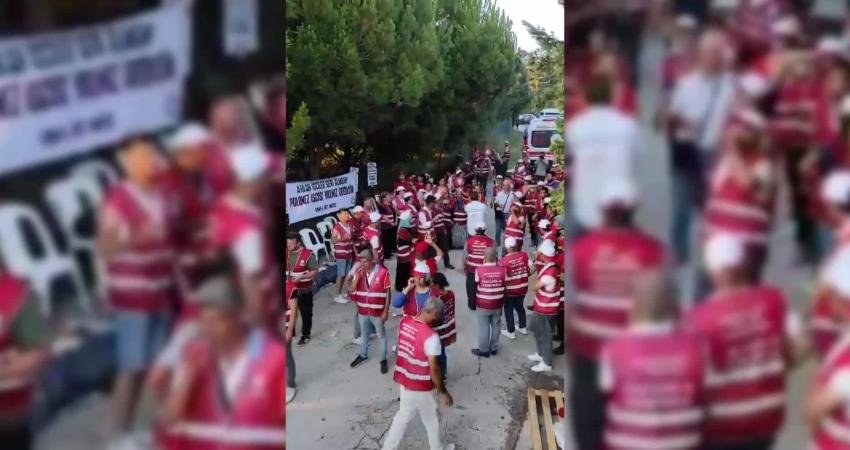 İstanbul’da bulunan Polonez gıda fabrikasında, 100’den fazla işçinin işten çıkarılmasını